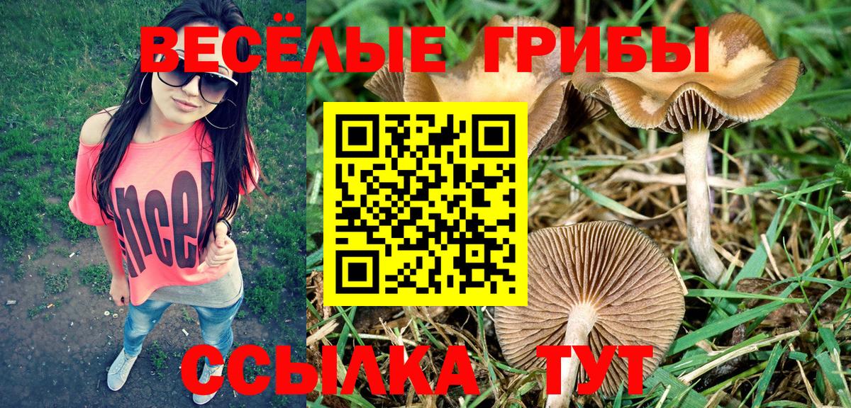 LSD-25 Верхняя Салда